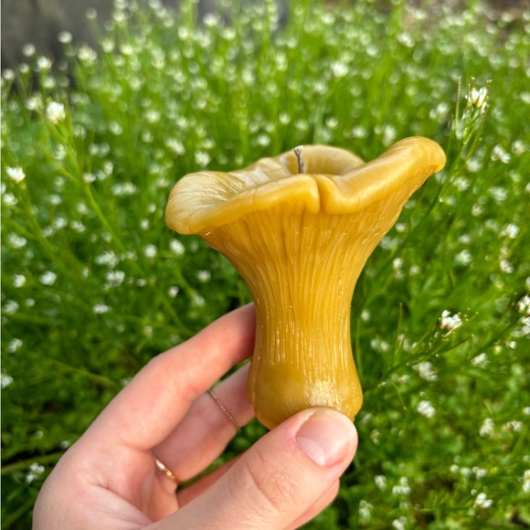 Homemade All-Natural Toxic Free 100% Beeswax Mushroom "Chanterelle" Candle - Picture 3 of 5